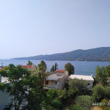 Rigos House At Askeli Beach, Poros Island Poros Town Exteriér fotografie