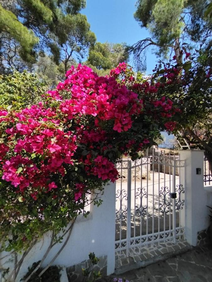 Vila Rigos House At Askeli Beach, Poros Island Poros Town Exteriér fotografie
